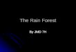 The Rain Forest By JMD 7H. What Is The Rain Forest? There are two types of rainforest, Tropical and Temperate. There are two types of rainforest, Tropical