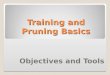 Training and Pruning Basics Objectives and Tools