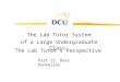 The Lab Tutor's Perspective The Lab Tutor System of a Large Undergraduate Class: Part II: Dave Donnellan