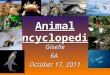 Animal Encyclopedia Giselle6A October 17, 2011. Table of Contents Mexican Axolotl Zebra Olive Ridley Sea TurtleOlive Ridley Sea Turtle Gentoo Penguin