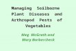 Managing Soilborne Plant Diseases and Arthropod Pests of Vegetables Meg McGrath and Mary Barbercheck