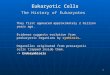 1 Eukaryotic Cells The History of Eukaryotes They first appeared approximately 2 billion years ago. Evidence suggests evolution from prokaryotic organisms