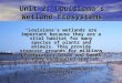 Unit 2: Louisiana’s Wetland Ecosystems “Louisiana’s wetlands are important because they are a vital habitat for many species of plants and animals. They