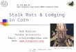 (c) 2001, RLNielsen, Purdue Univ.1 Stalk Rots & Lodging in Corn Bob Nielsen Purdue University Email: rnielsen@purdue.edu Web: 