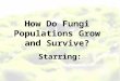 How Do Fungi Populations Grow and Survive? Starring: