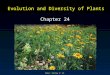 Mader: Biology 8 th Ed. Evolution and Diversity of Plants Chapter 24
