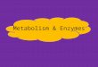 Metabolism & Enzymes What I should know There are 2 types of metabolic pathways- Anabolic and catabolic the pathways - can have reversible and irreversible