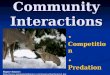 Community Interactions Competition Predation Symbiosis Figure Source: 