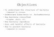 Objectives To understand the structure of bacteria –Compared to viruses Understand Eubacteria vs. Archaebacteria How bacteria classified –Kingdom, phyla,