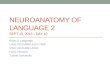 NEUROANATOMY OF LANGUAGE 2 SEPT 13, 2013 – DAY 10 Brain & Language LING 4110-4890-5110-7960 NSCI 4110-4891-6110 Harry Howard Tulane University