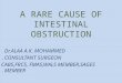 A RARE CAUSE OF INTESTINAL OBSTRUCTION Dr.ALAA A.K. MOHAMMED CONSULTANT SURGEON. CABS,FRCS, FMAS,WALS MEMBER,SAGES MEMBER