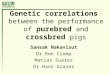 Genetic correlations between the performance of purebred and crossbred pigs Sansak Nakavisut Dr.Ron Crump Matias Suarez Dr.Hans Graser