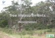 Tree measurements (Roscommon). Research objective: To compare modeled values of TB (using τ-ω model*) with airborne values of TB over heterogeneous tree-covered