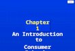 1-1 Chapter 1 An Introduction to Consumer Behavior