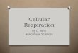 Cellular Respiration By C. Kohn Agricultural Sciences
