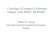 Creating a Compact Columnar Output with PROC REPORT Walter R. Young Principal Clinical Programmer Analyst Wyeth