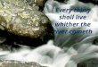 Every thing shall live whither the river cometh 