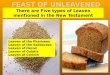 Leaven of the Pharisees Leaven of the Sadducees Leaven of Herod Leaven of Galatia Leaven of Corinth There are Five types of Leaven mentioned in the New