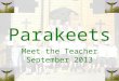 Parakeets Meet the Teacher September 2013. The admin The learning culture – pupil voice The learning environment The partnership with you – reading –