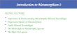 Introduction to Metamorphism 2 IN THIS LECTURE Importance of Understanding Metamorphic Mineral Assemblages Progressive Nature of Metamorphism Stable Mineral