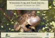 Wisconsin Frog and Toad Survey: Updated Website for 2007  Rori Paloski, Tara Bergeson Wisconsin Department of