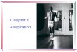 Chapter 6 Respiration. The three components of the respiratory system External respiration Gas transport Internal respiration