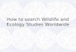 How to search Wildlife and Ecology Studies Worldwide