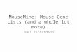 MouseMine: Mouse Gene Lists (and a whole lot more) Joel Richardson