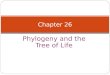 Phylogeny and the Tree of Life Chapter 26. Investigating the Tree of Life Phylogeny is the evolutionary history of a species or group of related species