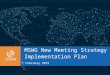 MSWG New Meeting Strategy Implementation Plan 7 February 2015