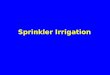 Sprinkler Irrigation. Definition Pressurized irrigation through devices called sprinklers Pressurized irrigation through devices called sprinklers Sprinklers