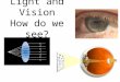 Light and Vision How do we see?. The Electromagnetic Spectrum