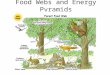 Food Webs and Energy Pyramids. Objectives Identification of the feeding relationships of animals in an ecosystem Tracing the flow of energy and nutrients