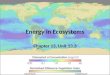 Energy in Ecosystems Chapter 13, Unit 13.3. Objectives To describe the roles of producers and consumers in ecosystems. To apply the concept of producers