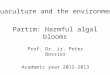 Partim: Harmful algal blooms Prof. Dr. ir. Peter Bossier Academic year 2012-2013 Aquaculture and the environment