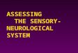 ASSESSING THE SENSORY- NEUROLOGICAL SYSTEM. Structures 4 Cerebrum  Cortex 4 Frontal lobe  Temporal lobe 4 Parietal lobeOccipital lobe 4 Thalamus  Hypothalamus
