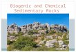 UNIT 3 Biogenic and Chemical Sedimentary Rocks. Chemical Sedimentary Rocks In contrast to detrital rocks, which form from the solid products of weathering,