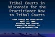 Tribal Courts in Wisconsin for the Practitioner New to Tribal Courts Dane County Bar Association April 22, 2008 Attorney Paul Stenzel Stenzel Law Office,