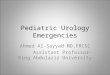 Pediatric Urology Emergencies Ahmed Al-Sayyad MD,FRCSC Assistant Professor-King Abdulaziz University