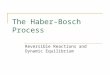 The Haber-Bosch Process Reversible Reactions and Dynamic Equilibrium