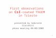 1 First observations on CsI -coated ThGEM in Trieste presented by Gabriele Giacomini phone meeting 06/08/2008