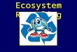 Ecosystem Recycling. Essential Standard 2.1 Analyze the interdependence of living organisms within their environments Clarifying Objective 2.1.1 Analyze