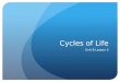 Cycles of Life Unit B Lesson 3. What is the Water Cycle? What happens to rainwater after it falls?!?  kids-adv.html