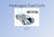 Hydrogen Fuel Cells David Lorse ESS 315. What is a hydrogen fuel cell? Hydrogen fuel cells (HFCs) are a type of electrochemical cell. HFCs generate electricity