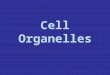 Cell Organelles. Plant Cell Animal Cell Cell Boundaries 1)Plasma Membrane – semi-permeable membrane 2)Cell Wall -Plants, Fungi, and Bacteria have this