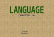 CHAPTER 10 Karen Meador. The Study of Language  Linguists – study the “rules” of language (what we do when we write, speak or talk)  Psycholinguists