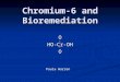 Chromium-6 and Bioremediation OHO-Cr-OHO Paula Warren