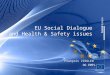 EU Social Dialogue and Health & Safety issues François ZIEGLER DG EMPL