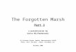The Forgotten Marsh Part 3 a presentation by Guive Mirfendereski 24 Carleton Street, Newton, Massachusetts 02458 Phone: (617) 964-5252. Email: Guive@aol.com
