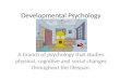 Developmental Psychology A branch of psychology that studies physical, cognitive and social changes throughout the lifespan